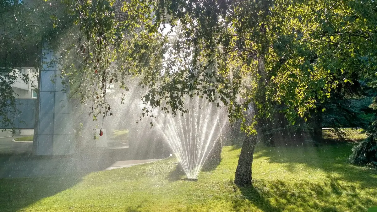 A sprinkler throwing water under a tree in a sunlit yard - Leak Detection in Mount Prospect
